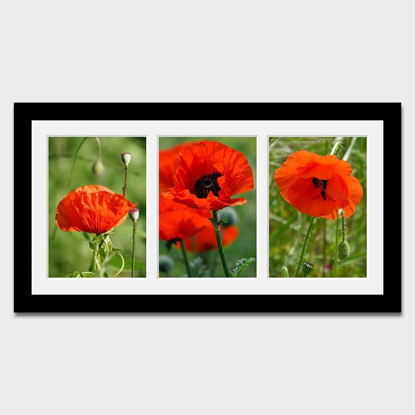 Multi-Photo Frame to hold 3 A4 certificates/photos in a Black Wooden Frame - Image 4